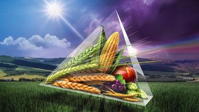 Prípravky na ochranu rastlín a osivá 2026