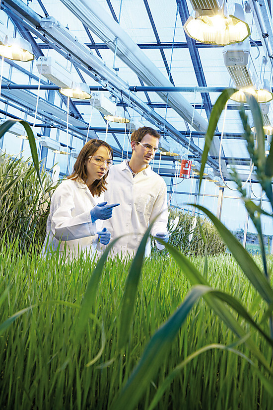 Bayer crop science
