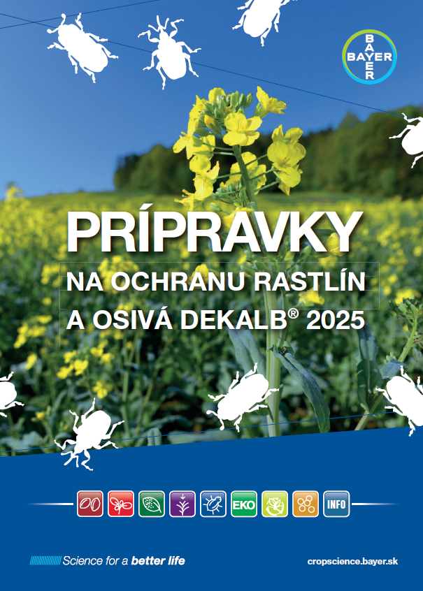 PK 2024