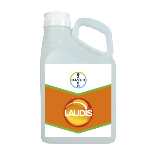 Untitled design - LAUDIS
