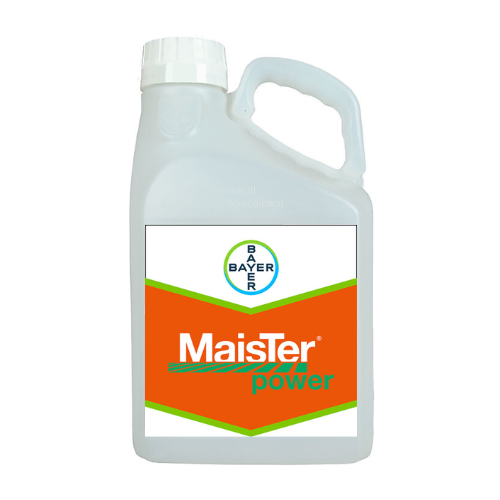 maister power