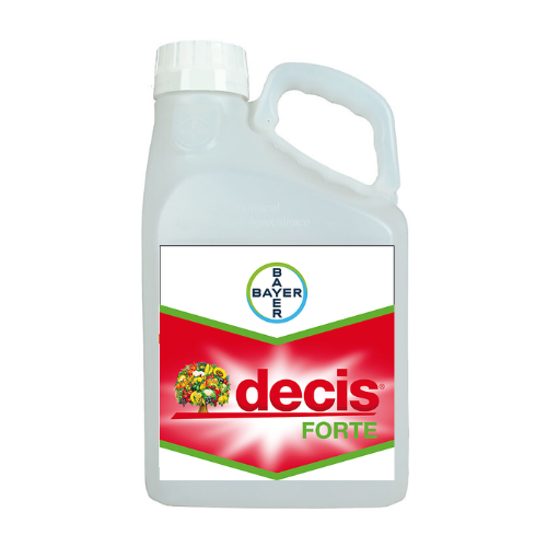 Untitled design - decis forte