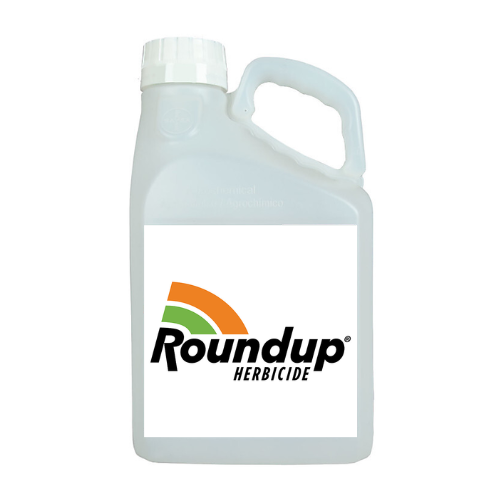 Untitled design - roundup