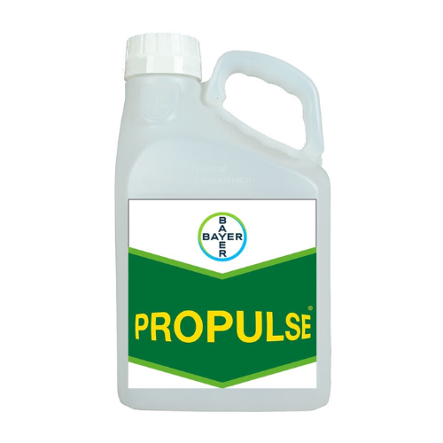 Untitled design - propulse