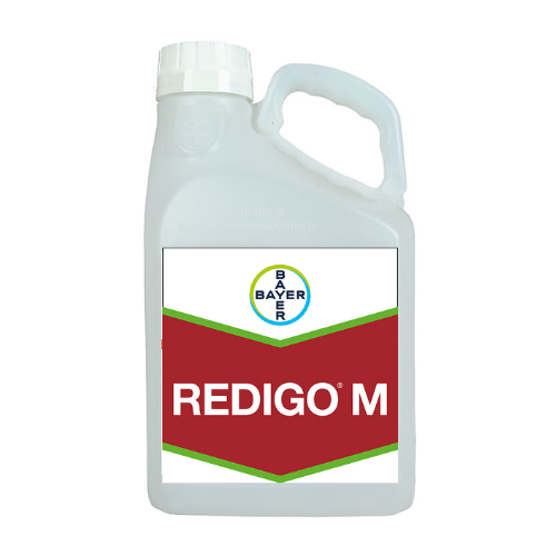 Untitled design - Redigo M