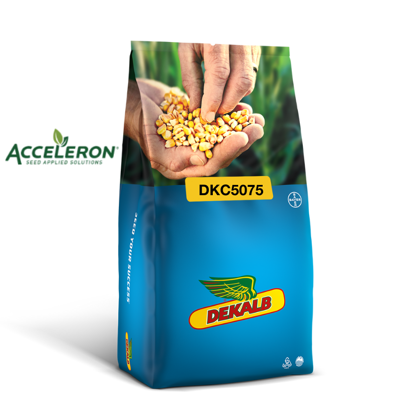 DKC4897 - 16