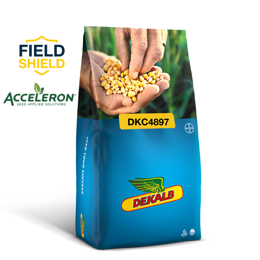 DKC4897 - 12