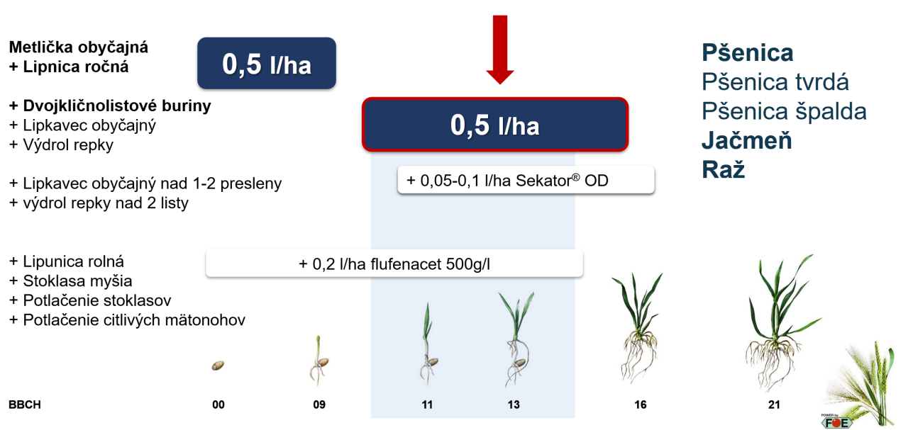 cougar_forte_aplikacia
