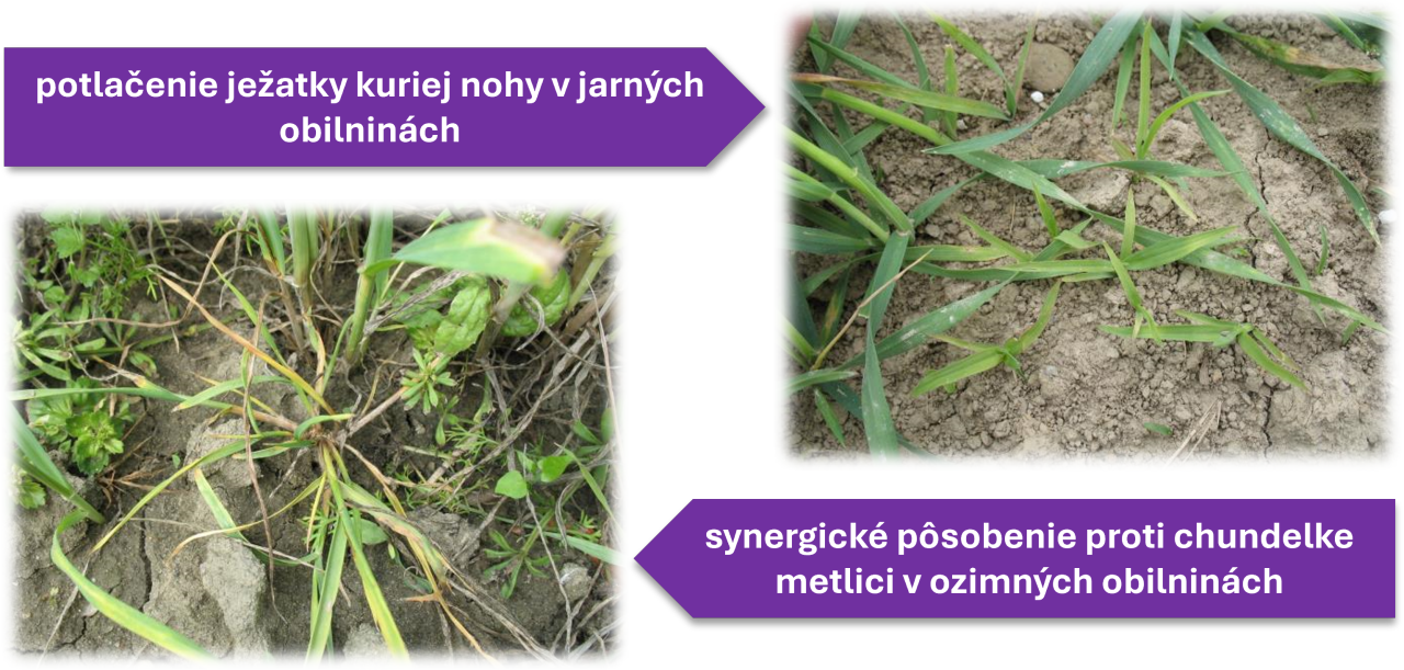 sekator_od_bonus_pre_pestovateľa