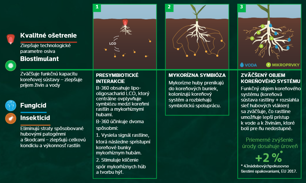 ACCELERON